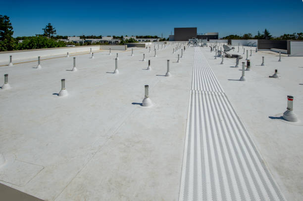 Roof Coating Services in Mount Olive, IL